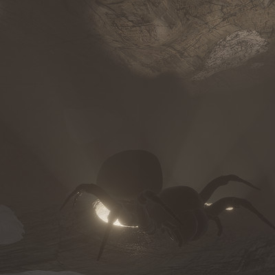 Silas fuchs spider cave1