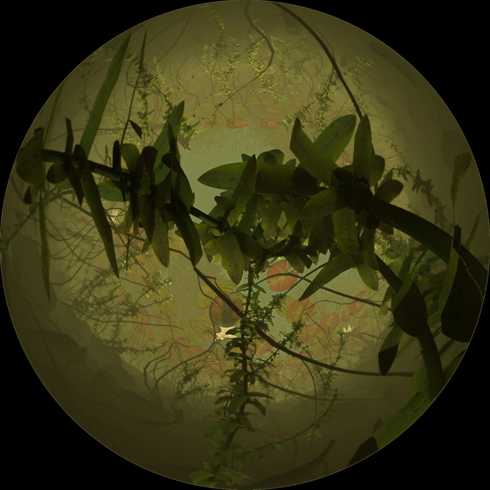 Underwater W.I.P.
