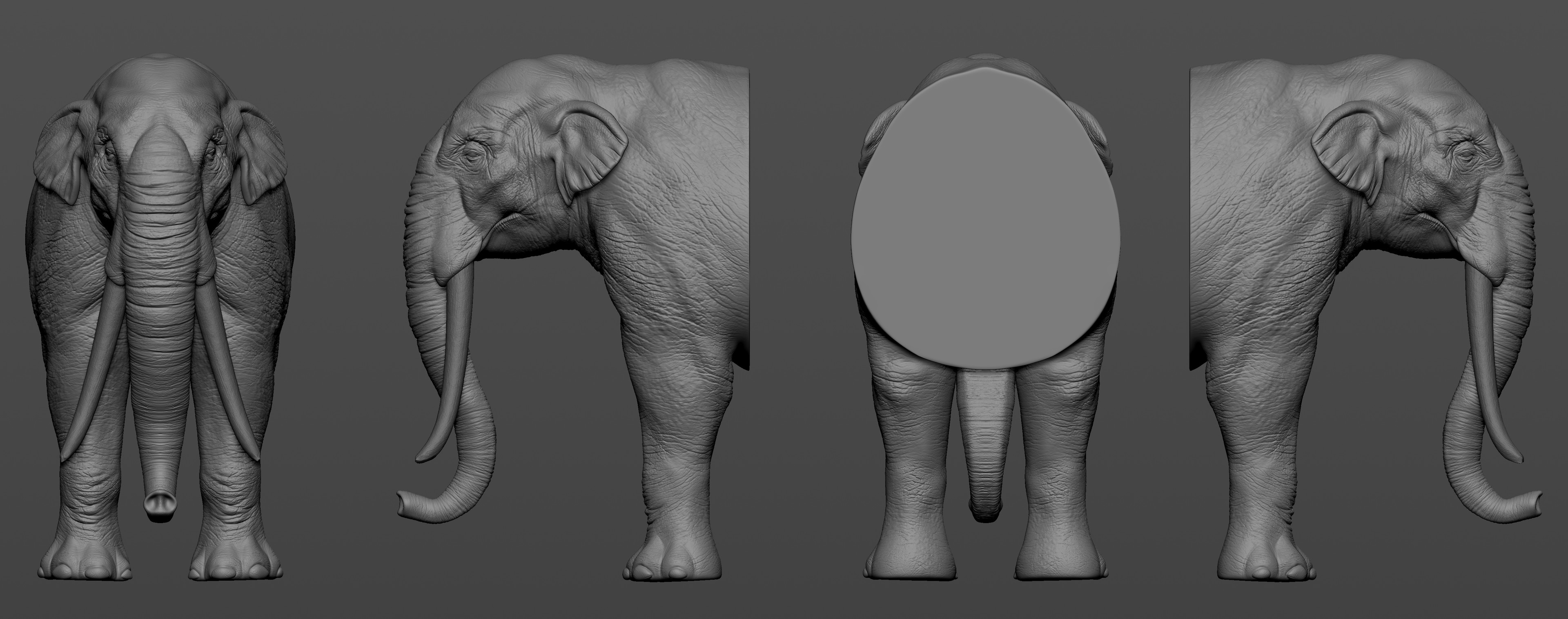 3D Printing Avoid Elephant Foot  : Questo Nome Molto Esotico, Elephant Foot (Letteralmente Piede Da Elefante) Altro Non È Che A Definizione Di Un Problema Di Stampa Piuttosto.