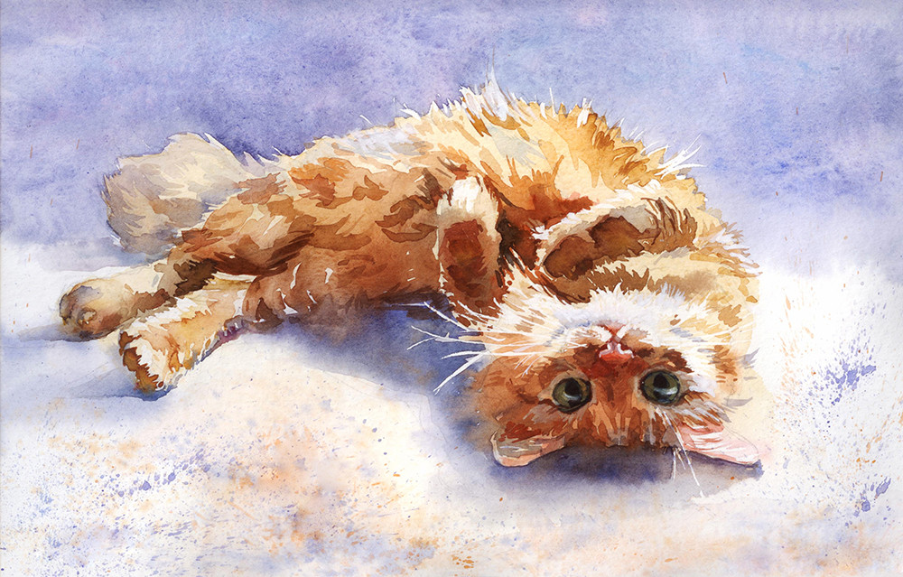 A Furry Friend Cat Water Color Painting