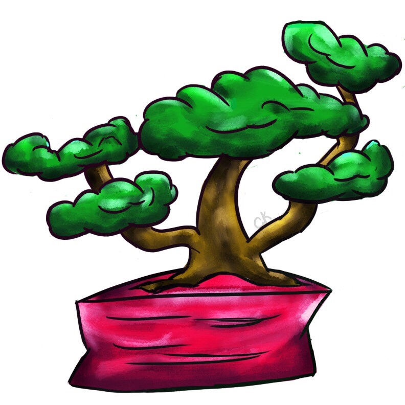 Christina Krivenkoff Bonsai Tree