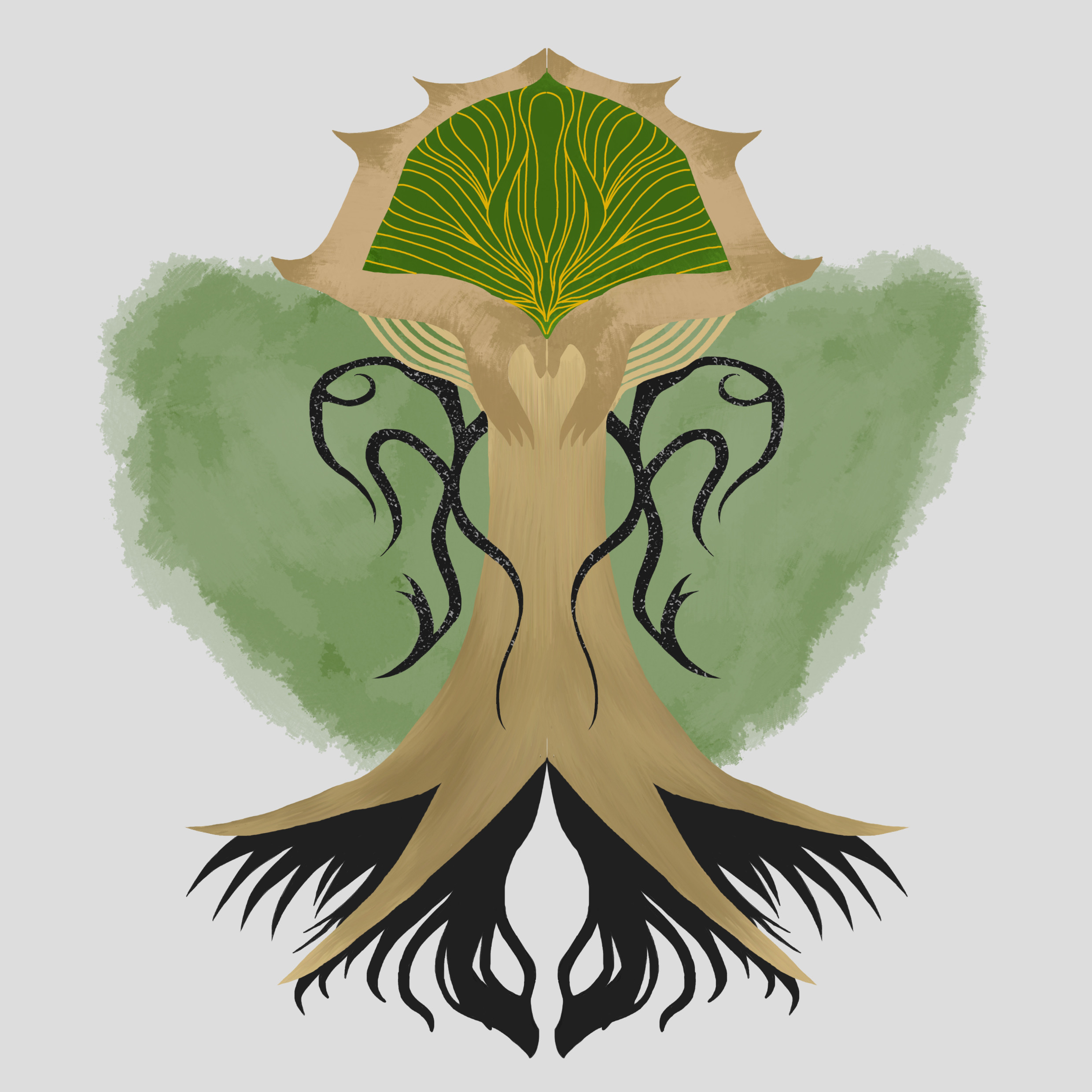 First coloring