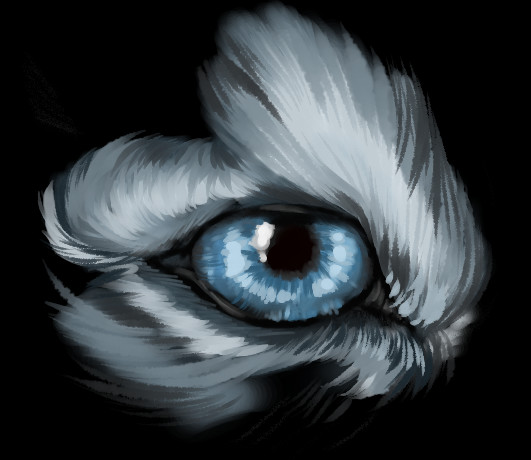 ArtStation - Wolf Eye