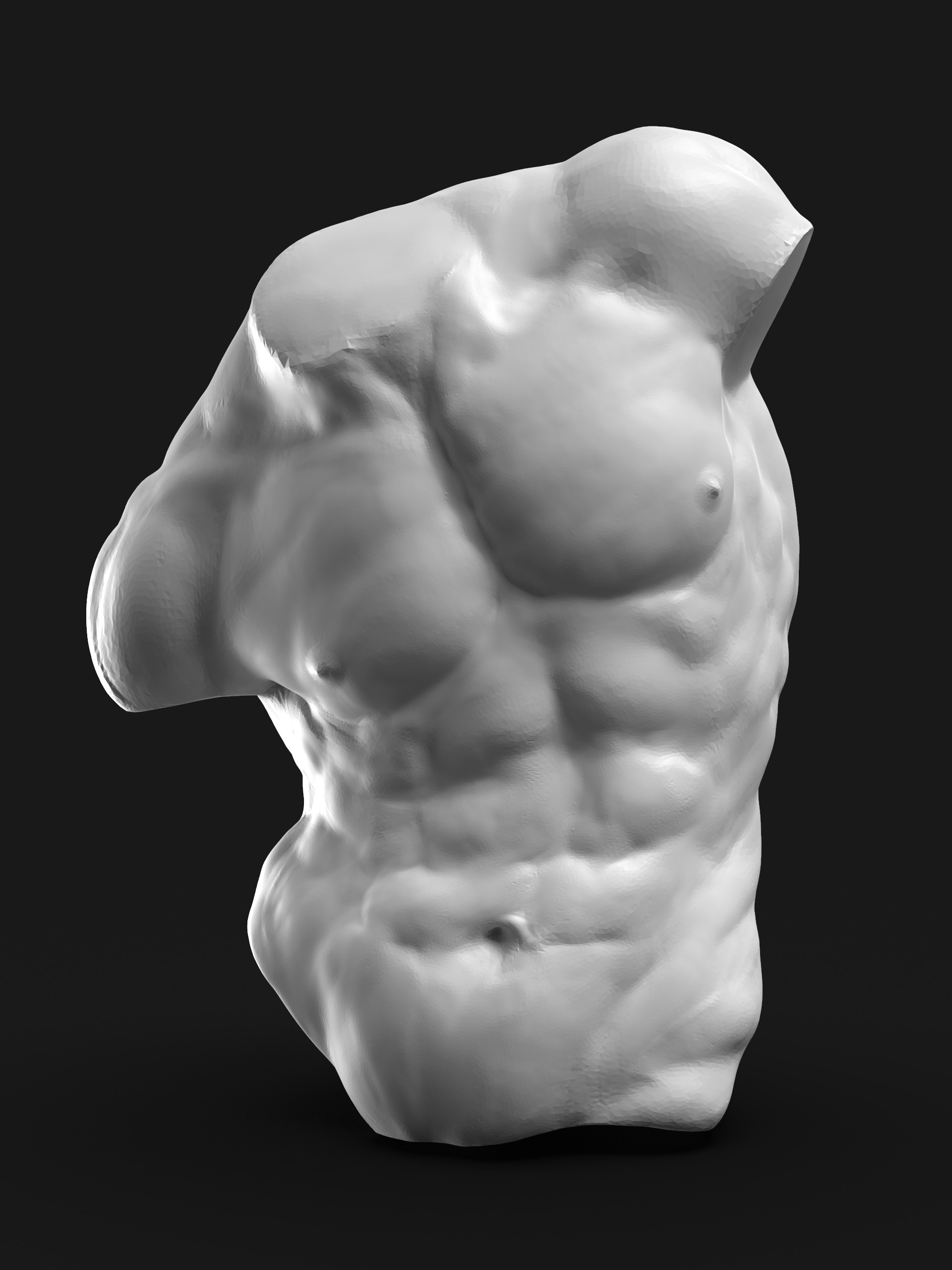 ArtStation - Anatomy study- Male Torso, Riccardo Meneghello