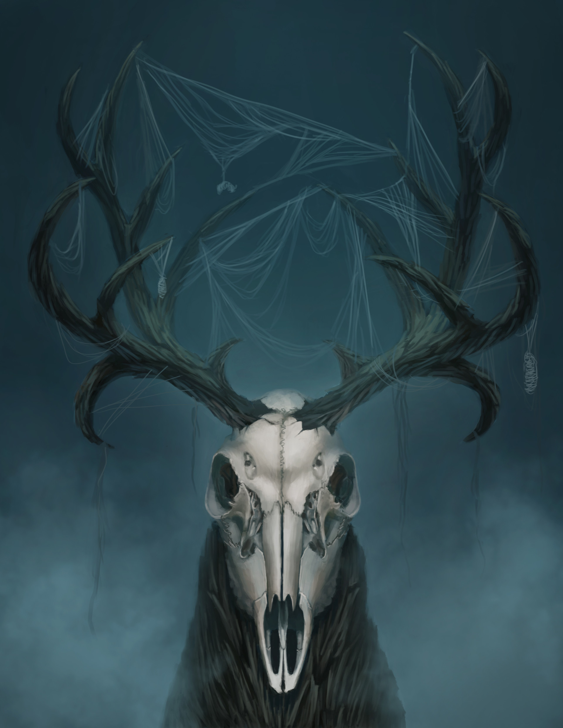 Deer Skull Drawings