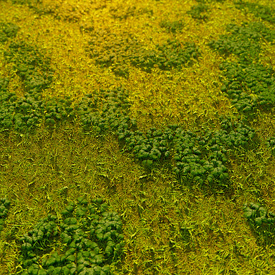 Pky sbsgrassground01 a