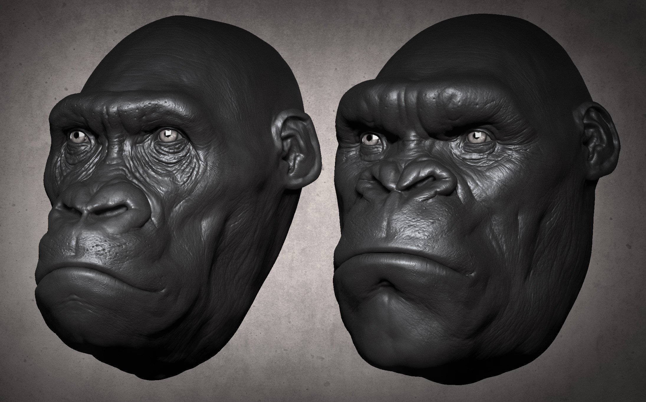 Gorilla to Kong comparison study (speed sculpt)