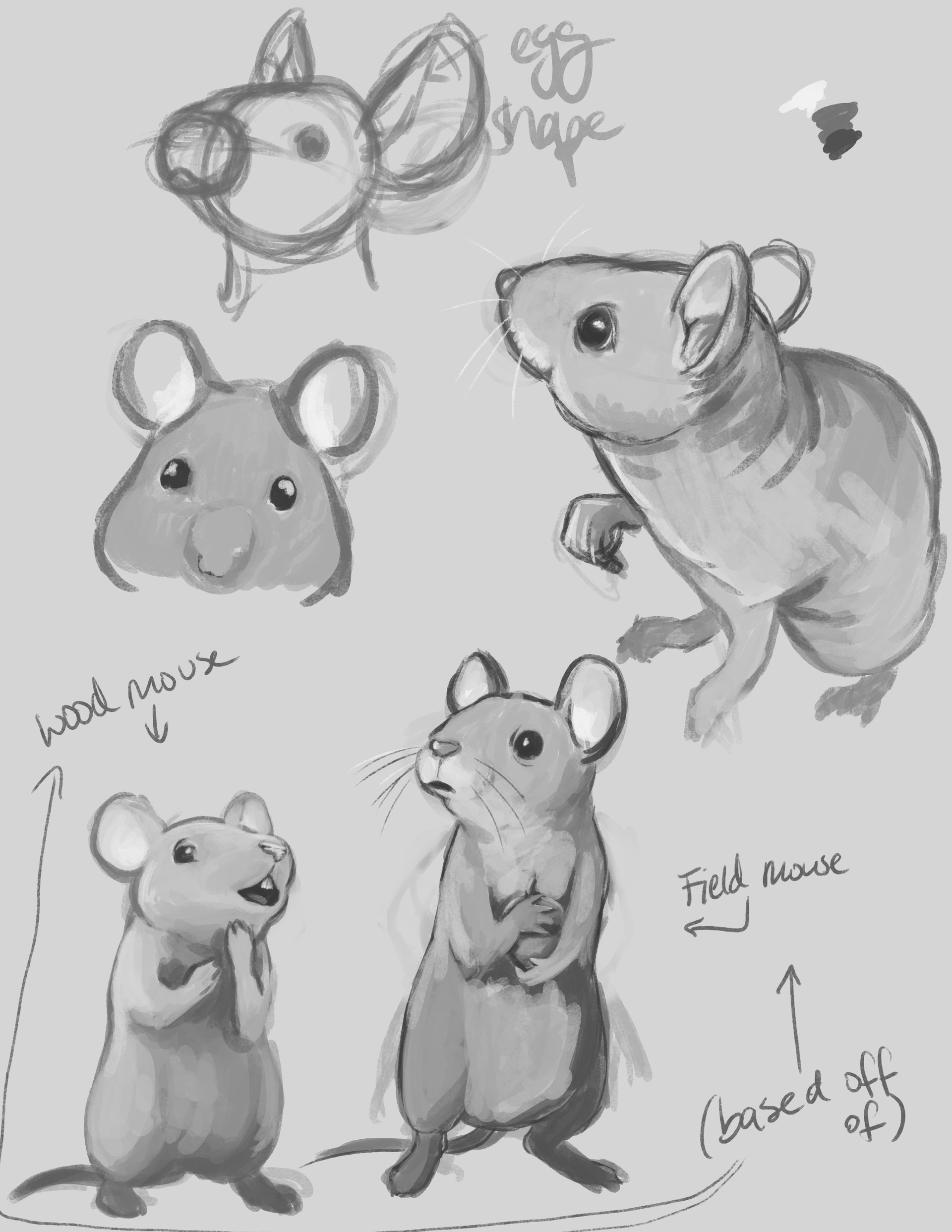 How To Draw A Real Mouse