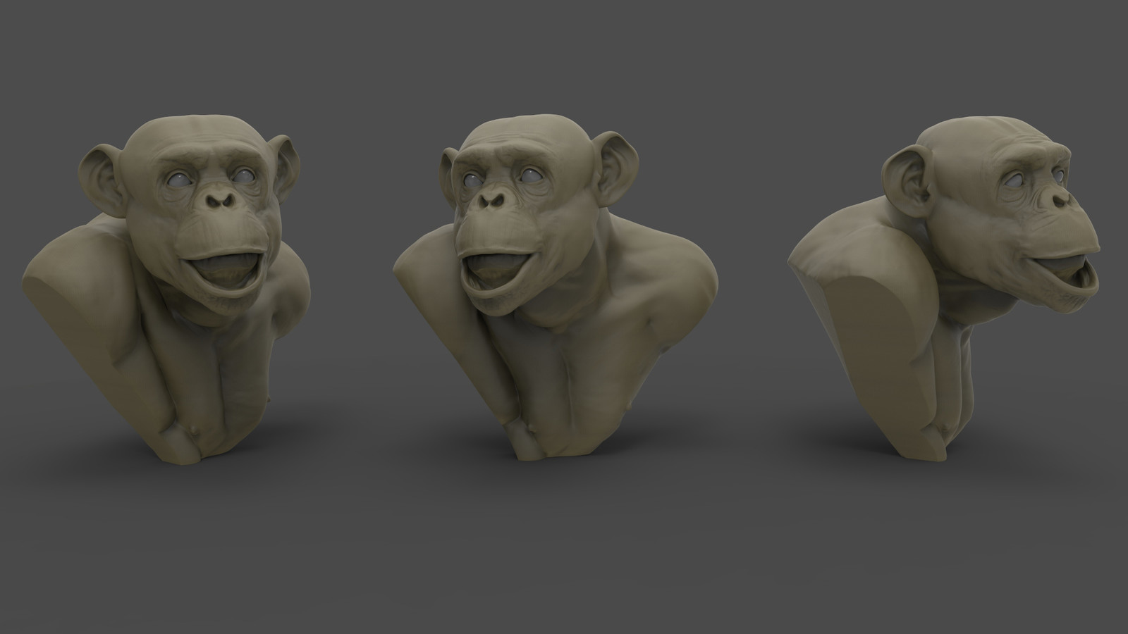 Chimpanzee Study