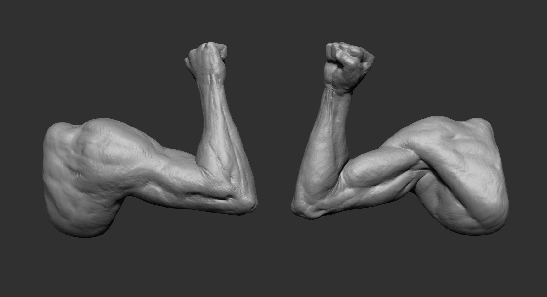 ArtStation - Arm_Study