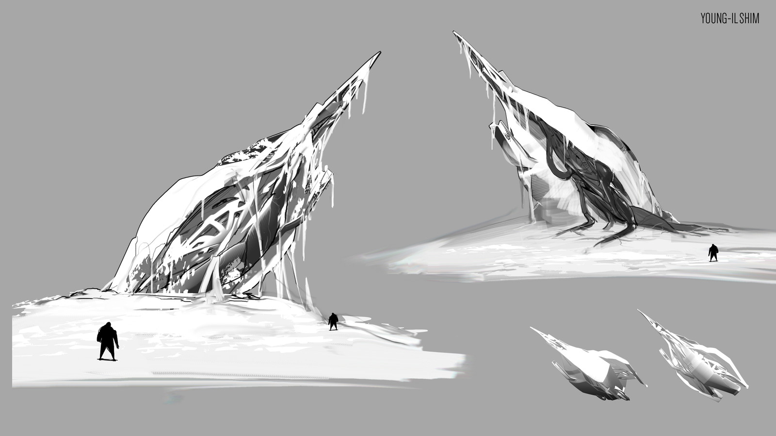 Spaceship Wreck