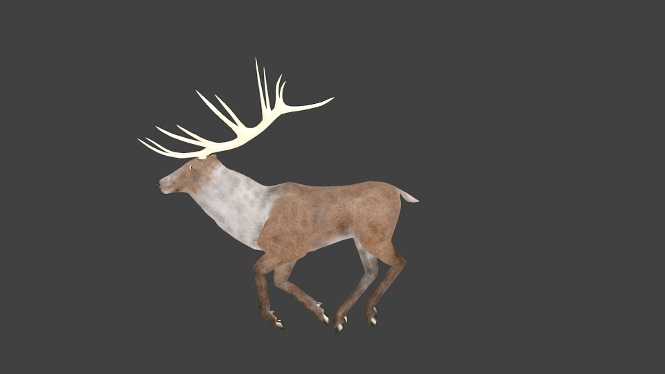 ArtStation Deer animation and rig, Nina Juric