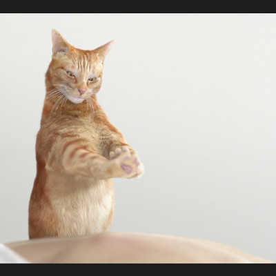 Cats Pride