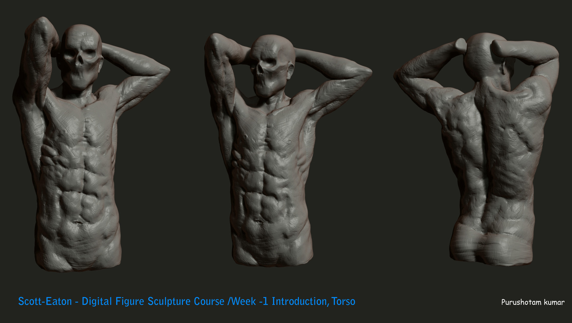 Male Upper Torso Anatomy - ArtStation - Male Torso Anatomy ...