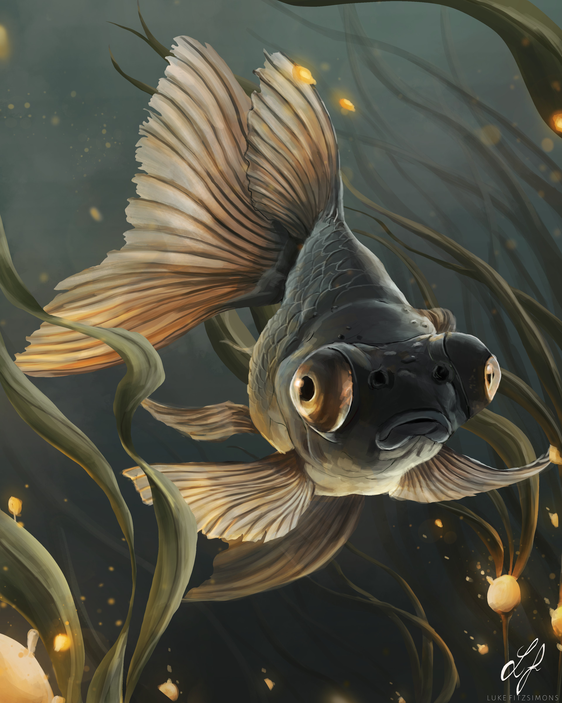 Little goldfish best sale