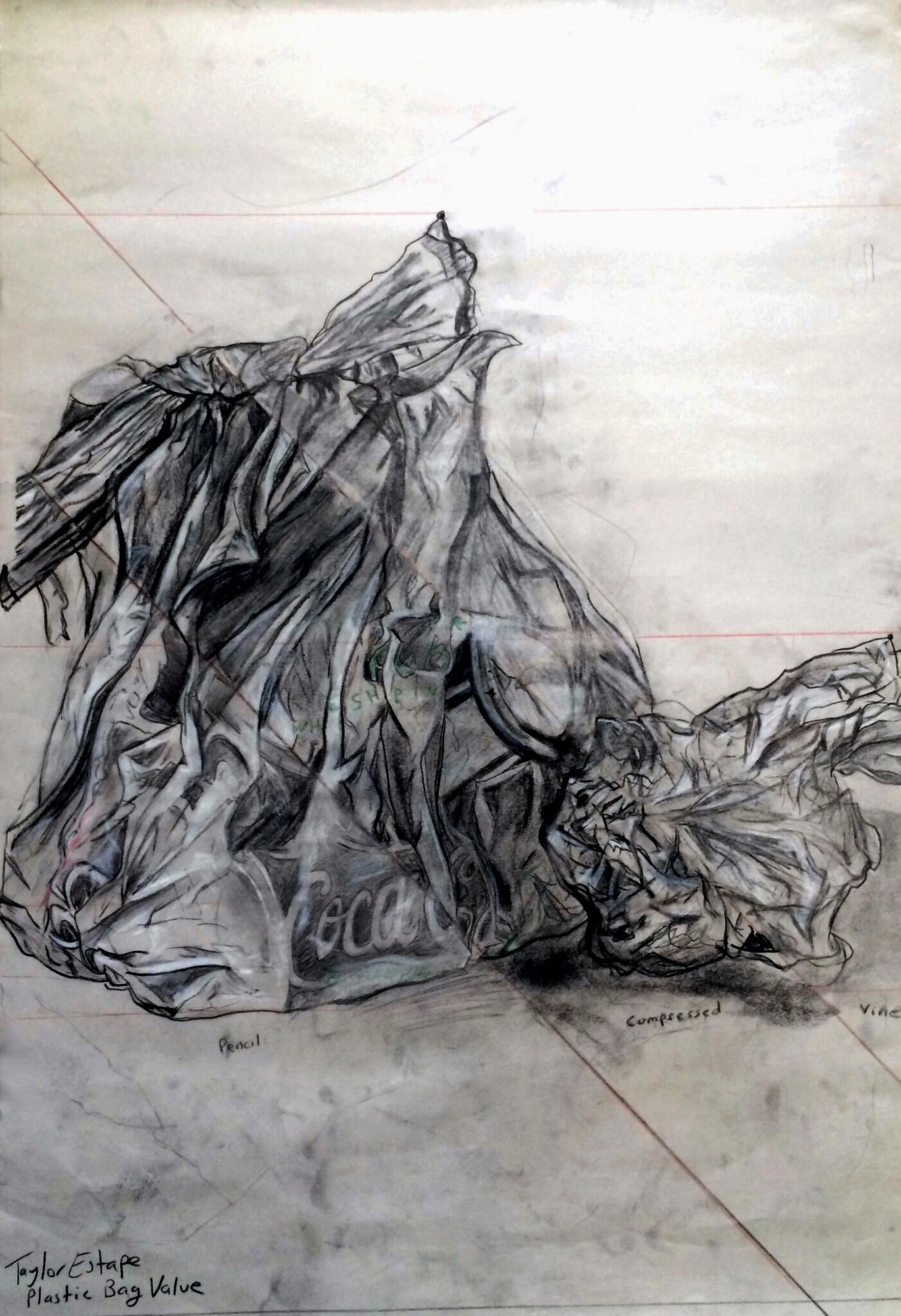 Artstation Observational Drawings Taylor Estape