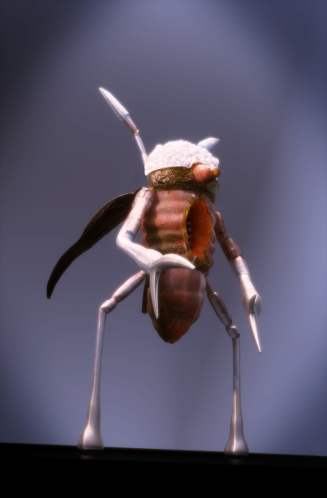 Voracio