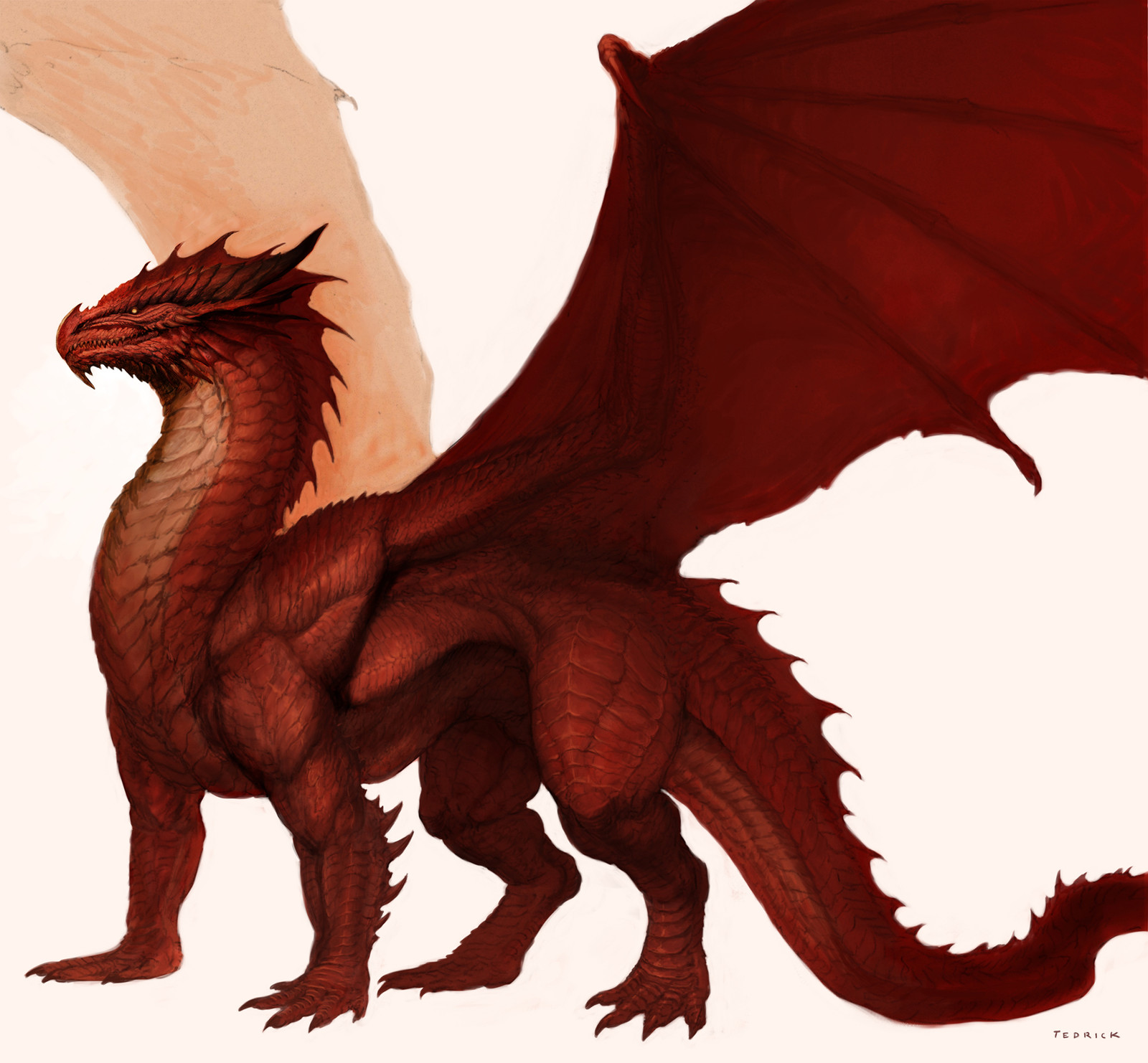 John tedrick red dragon