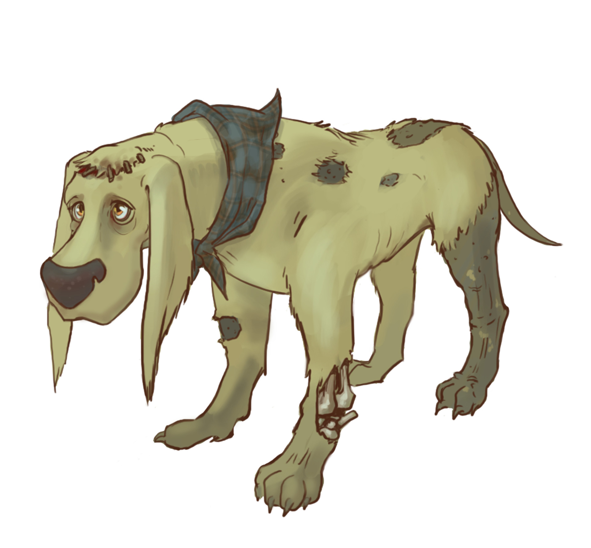Where the red fern grows dogs drawings
