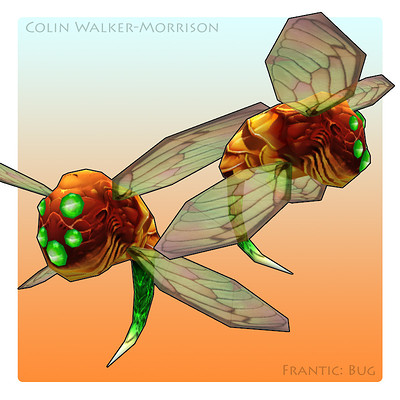 Colin morrison 31 ft bug cl