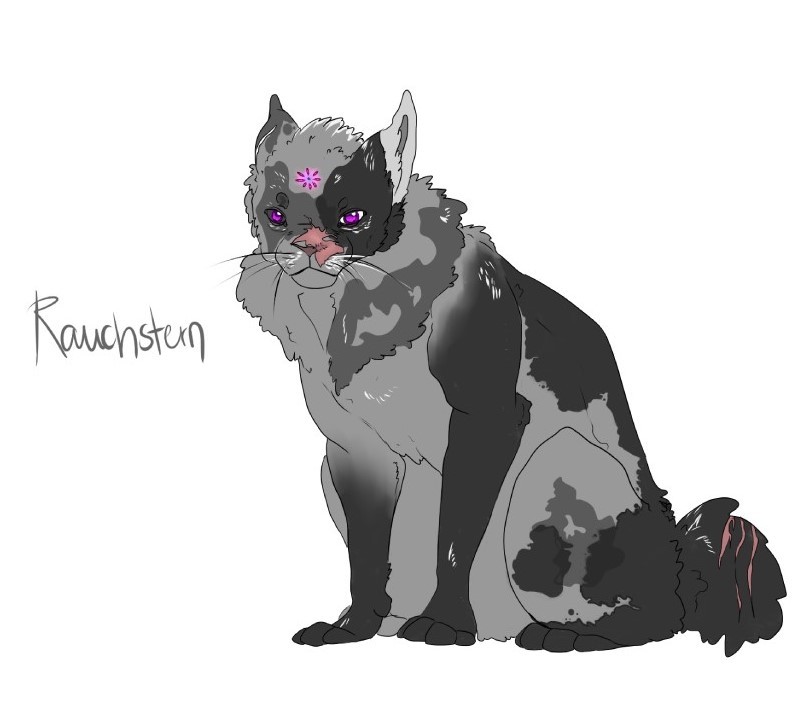 Artstation Rauchstern Warrior Cats Oc Hannah Landesberger