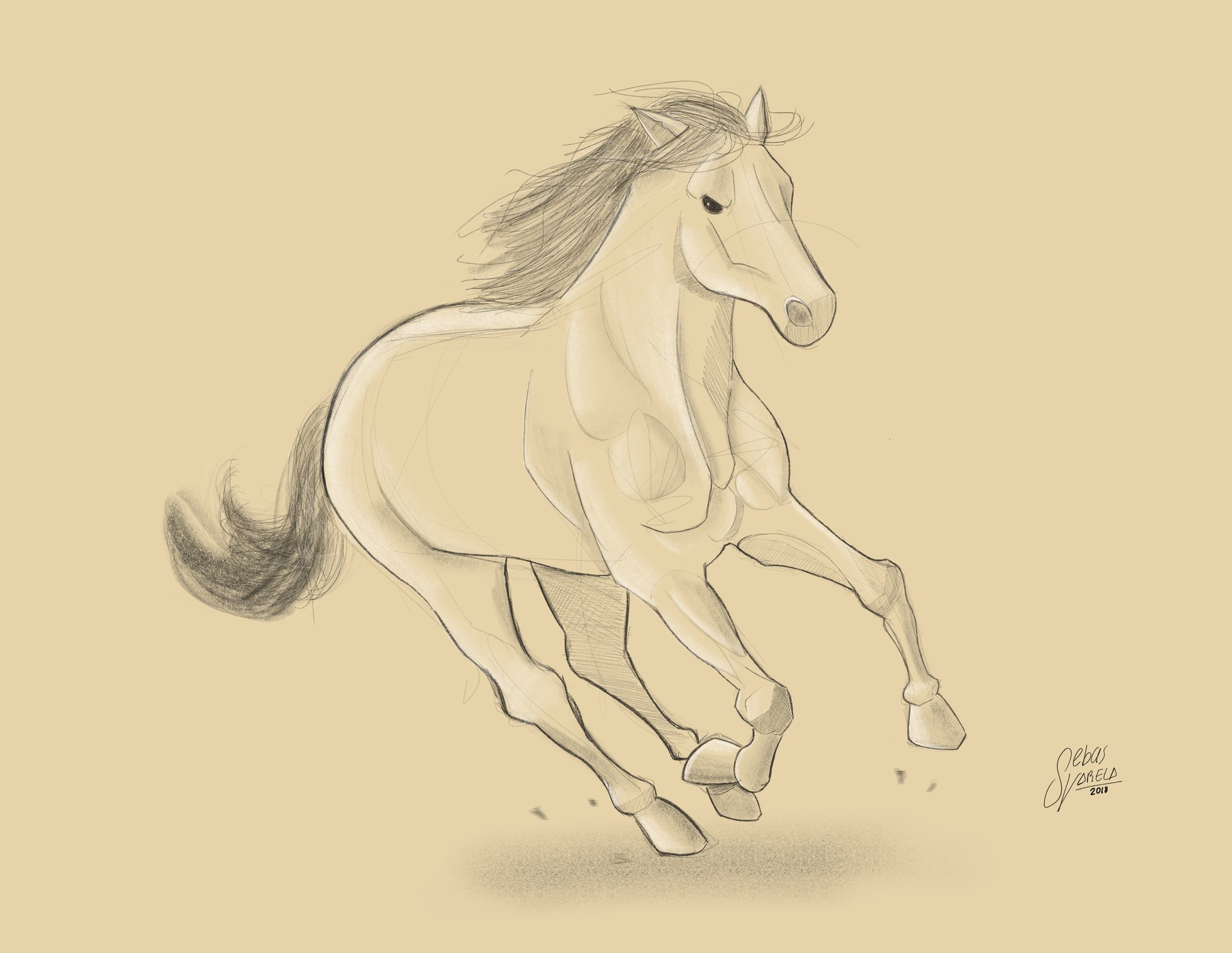 Coloring Campaign – CHWHA, image size:1920x1484