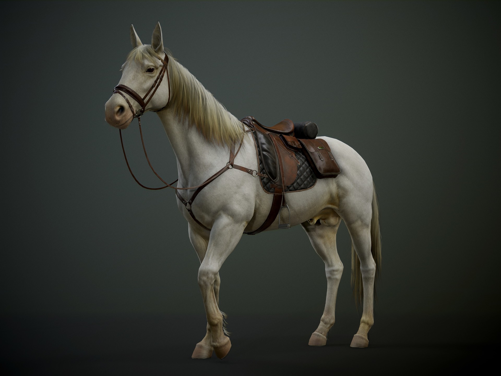 Pogar Marius Game ready Horse