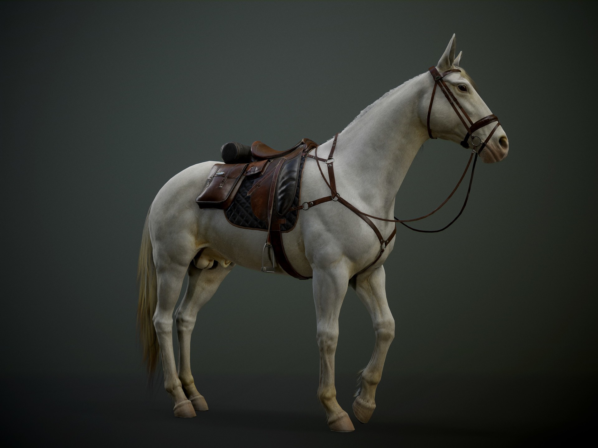 Pogar Marius - Game ready Horse