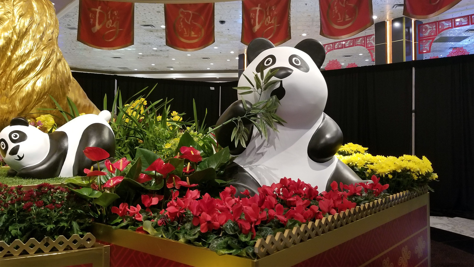 Close-Up 1 of Panda on the Lobby Floor