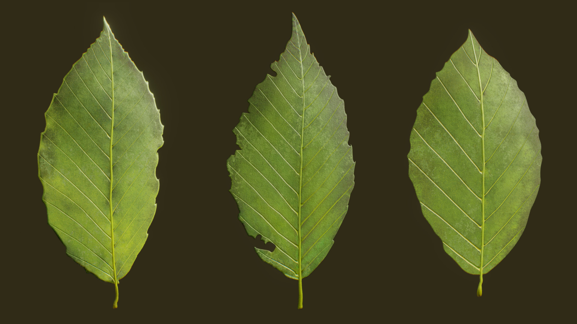 Artstation Beech Tree Leaves Toby Fredson