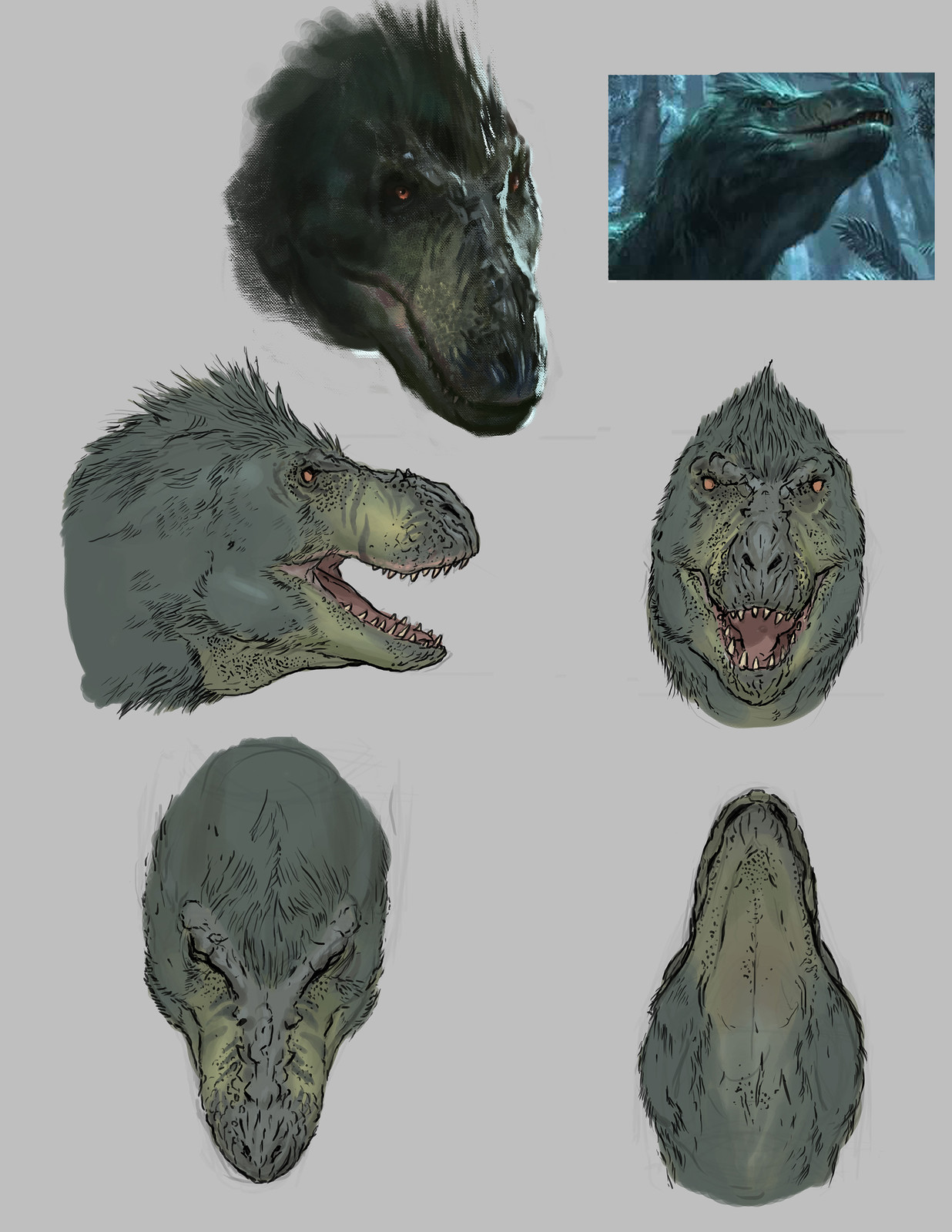 Tyrannosaur head profile
