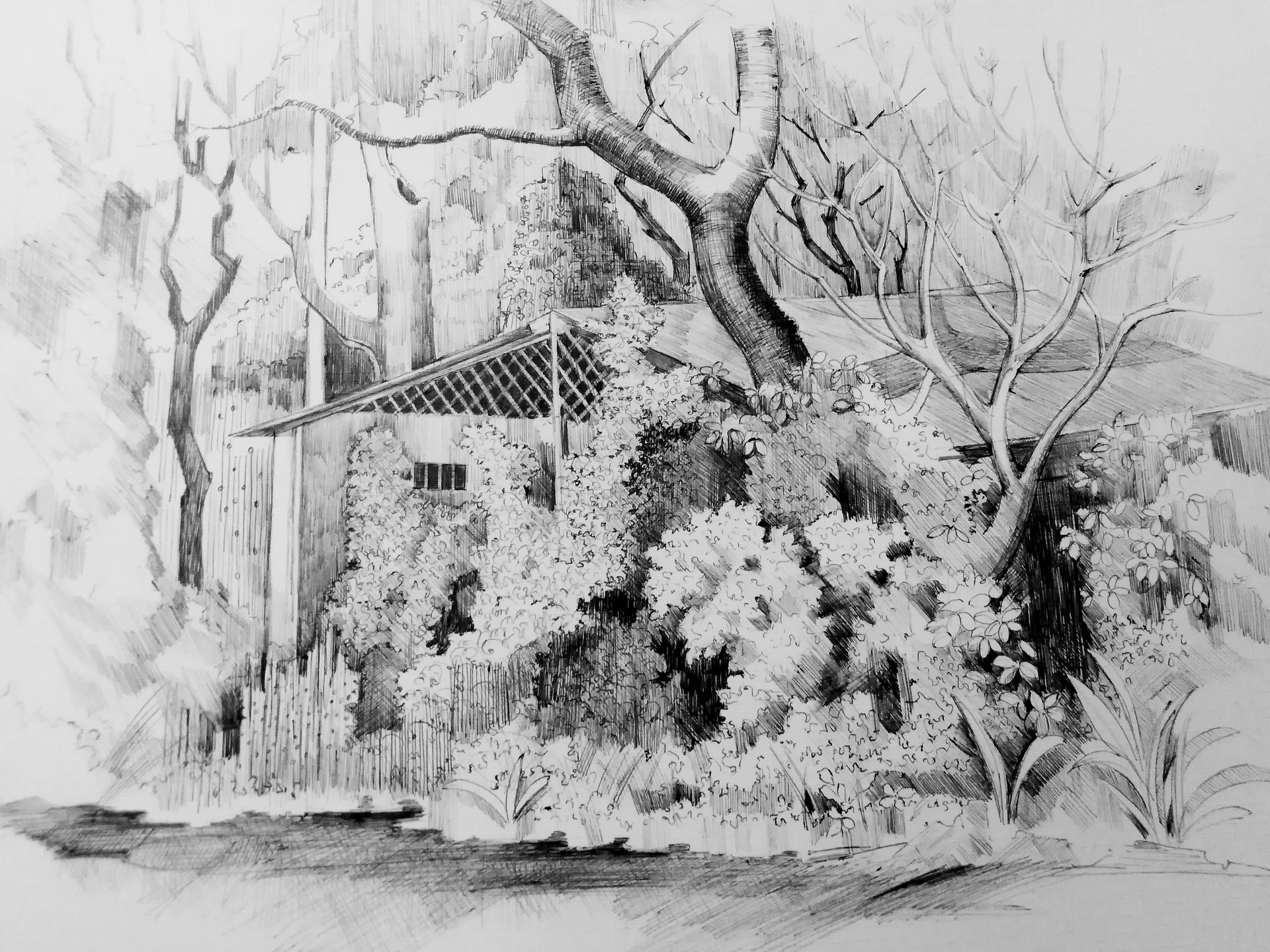 sketch of landscape sketch of landscape