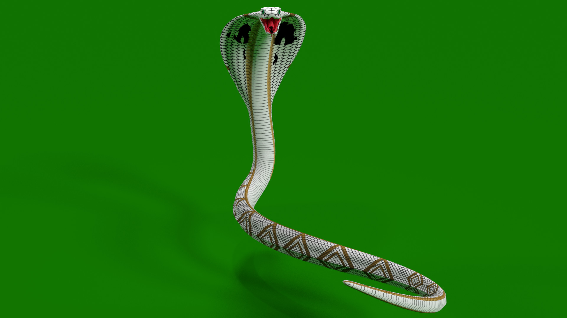 Artstation Bela Snake Texture Haider Salman Vyom (aly goni) and blue skinned snake's dual attack over bela (surbhi jyoti). bela snake texture haider salman