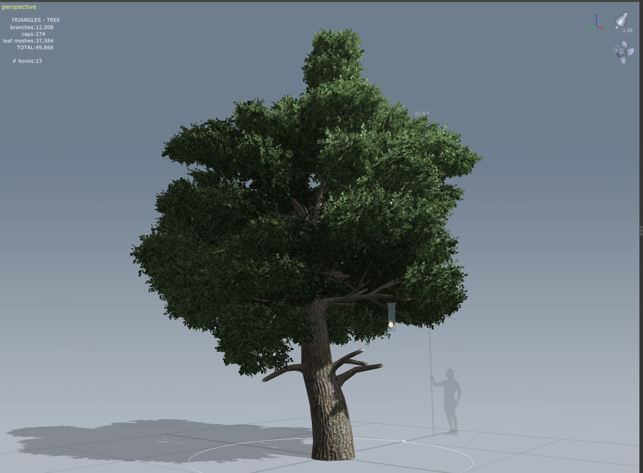 Tree02