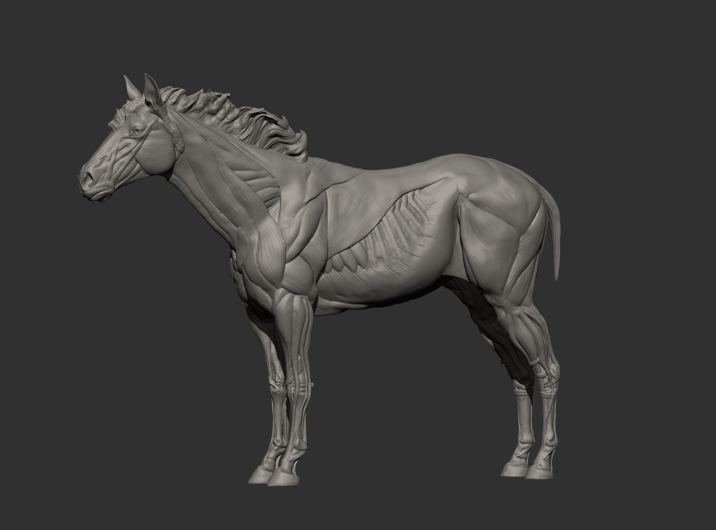 Getting closer to a breed for more realism. 