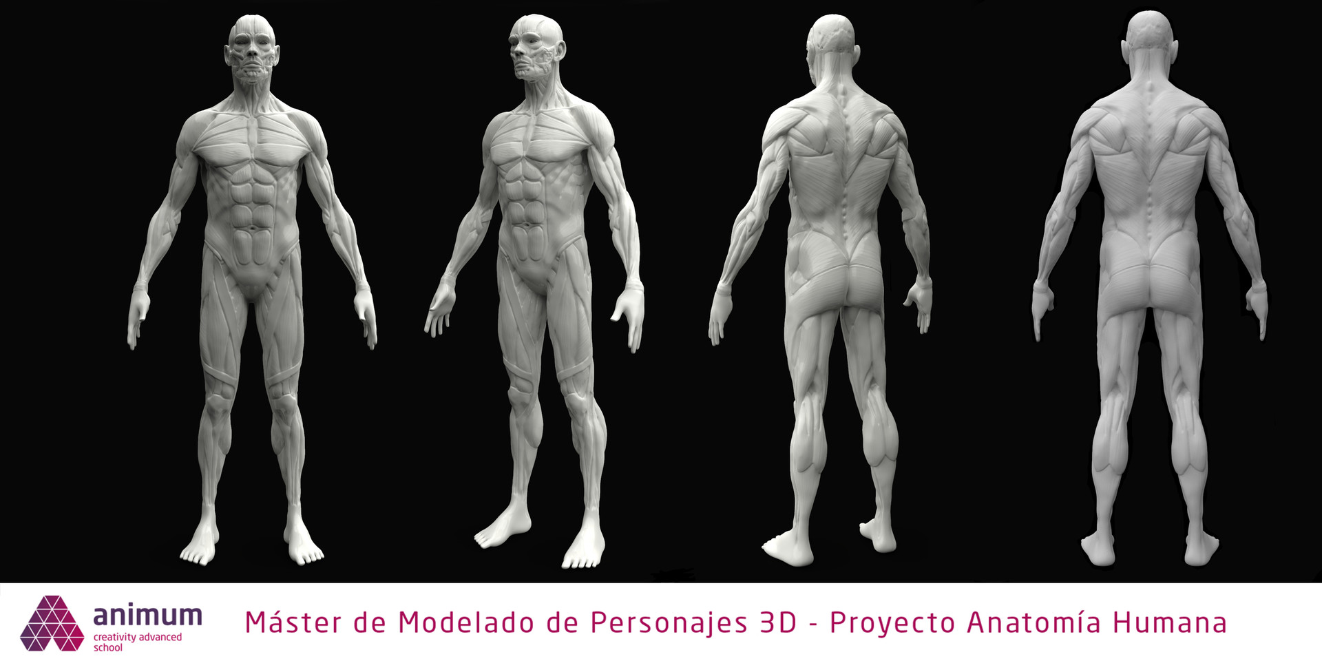 Adrian Lund Male Ecorche Последние твиты от benjamin munk lund (@munklund). adrian lund male ecorche