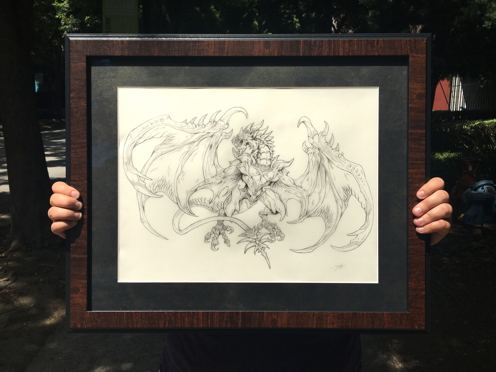 Framed pencil lines for the illustration.