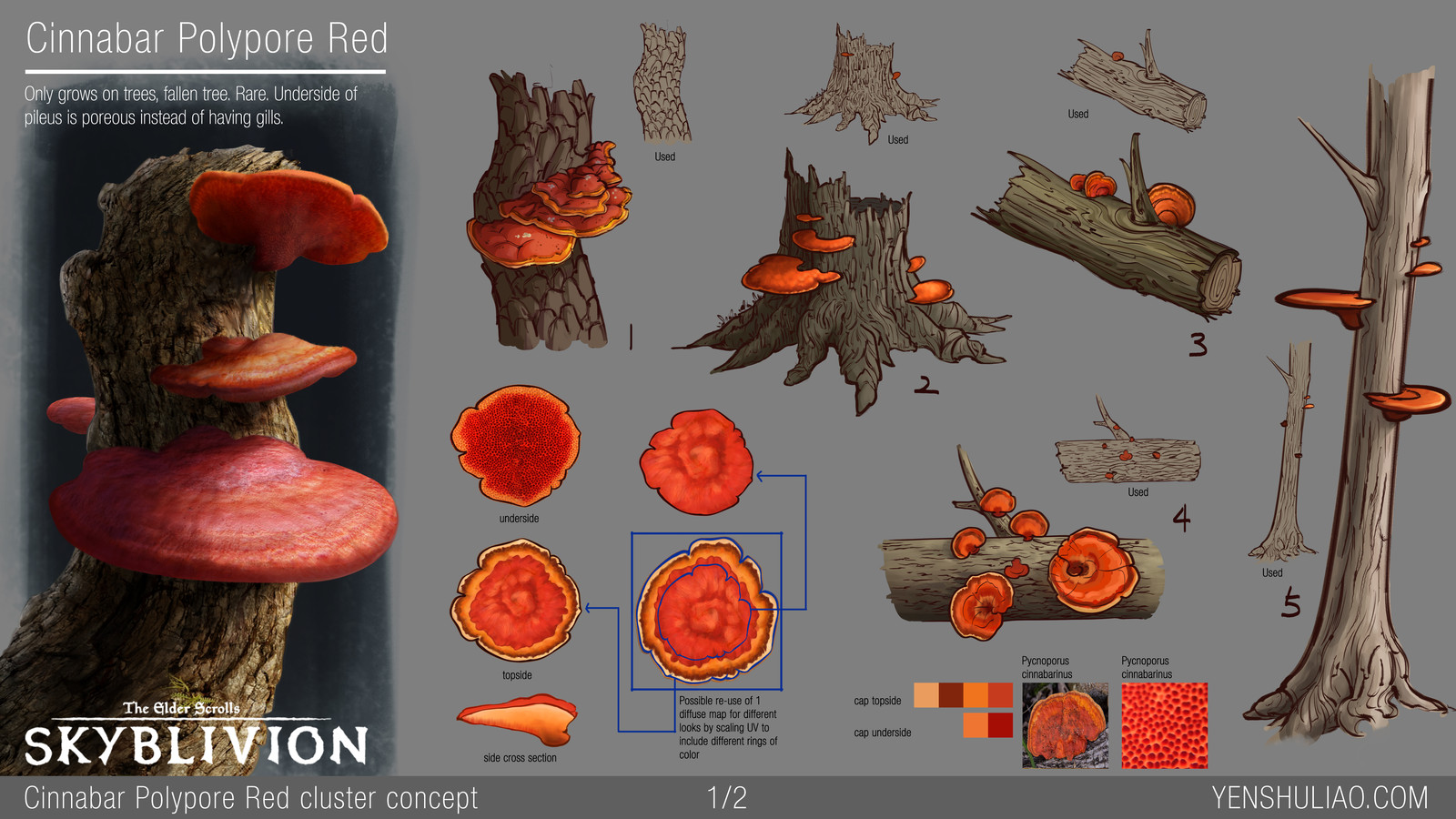 Skyblivion Mushroom Set 1/2