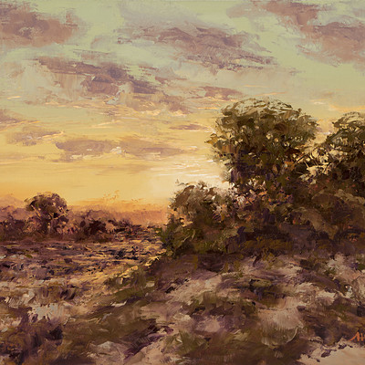 Sunset heath -for sale 15.7x19.6" (40x50cm)