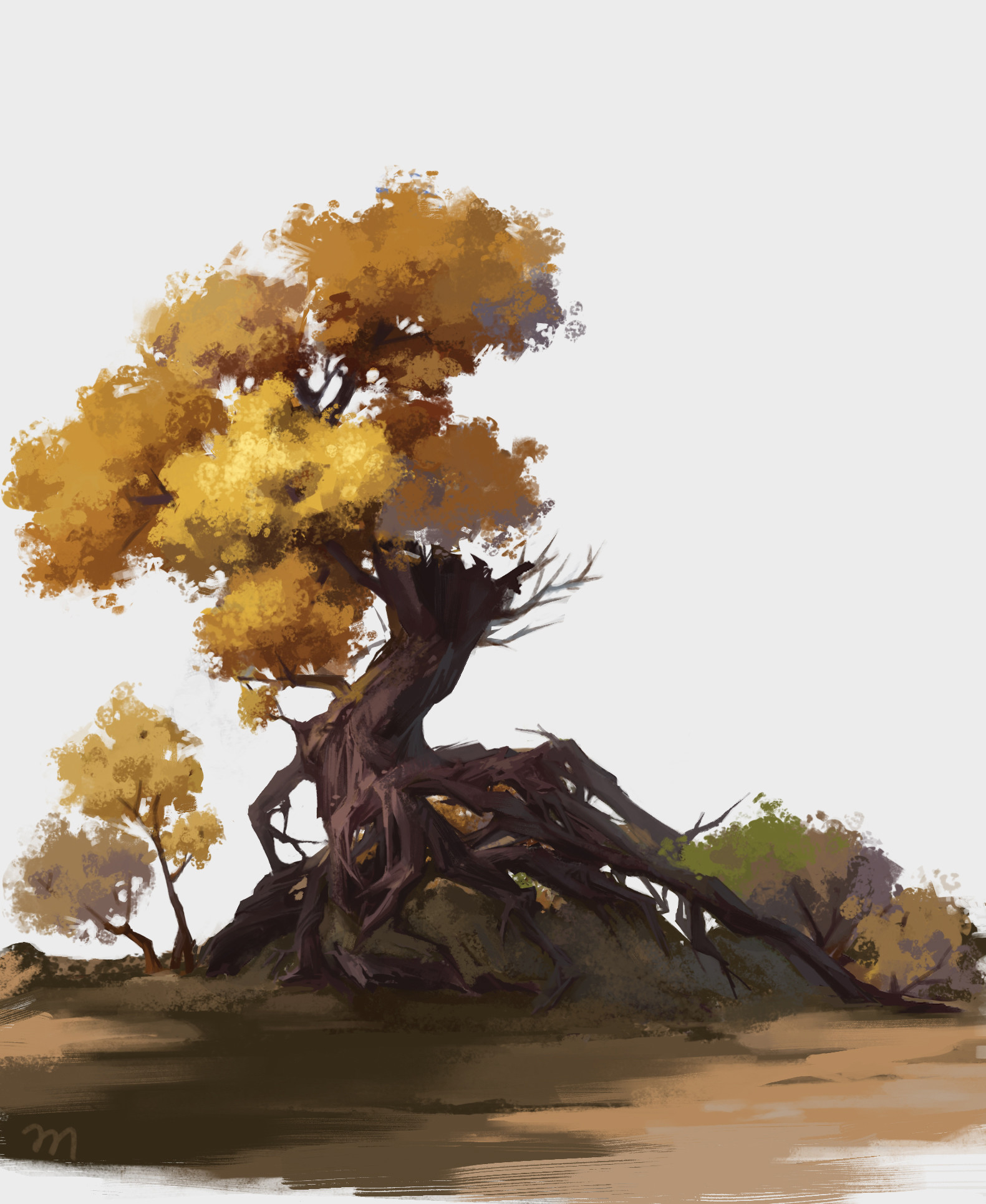Lareina M Practice Of Trees Rocks Clouds
