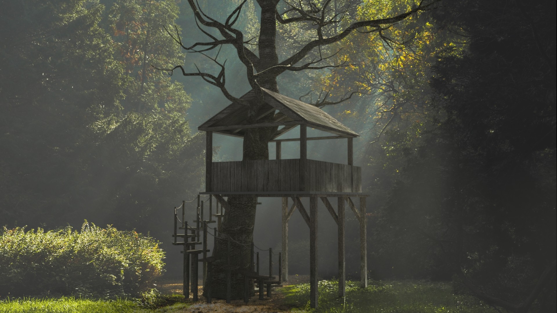 Ajay Kanth Old Tree House
