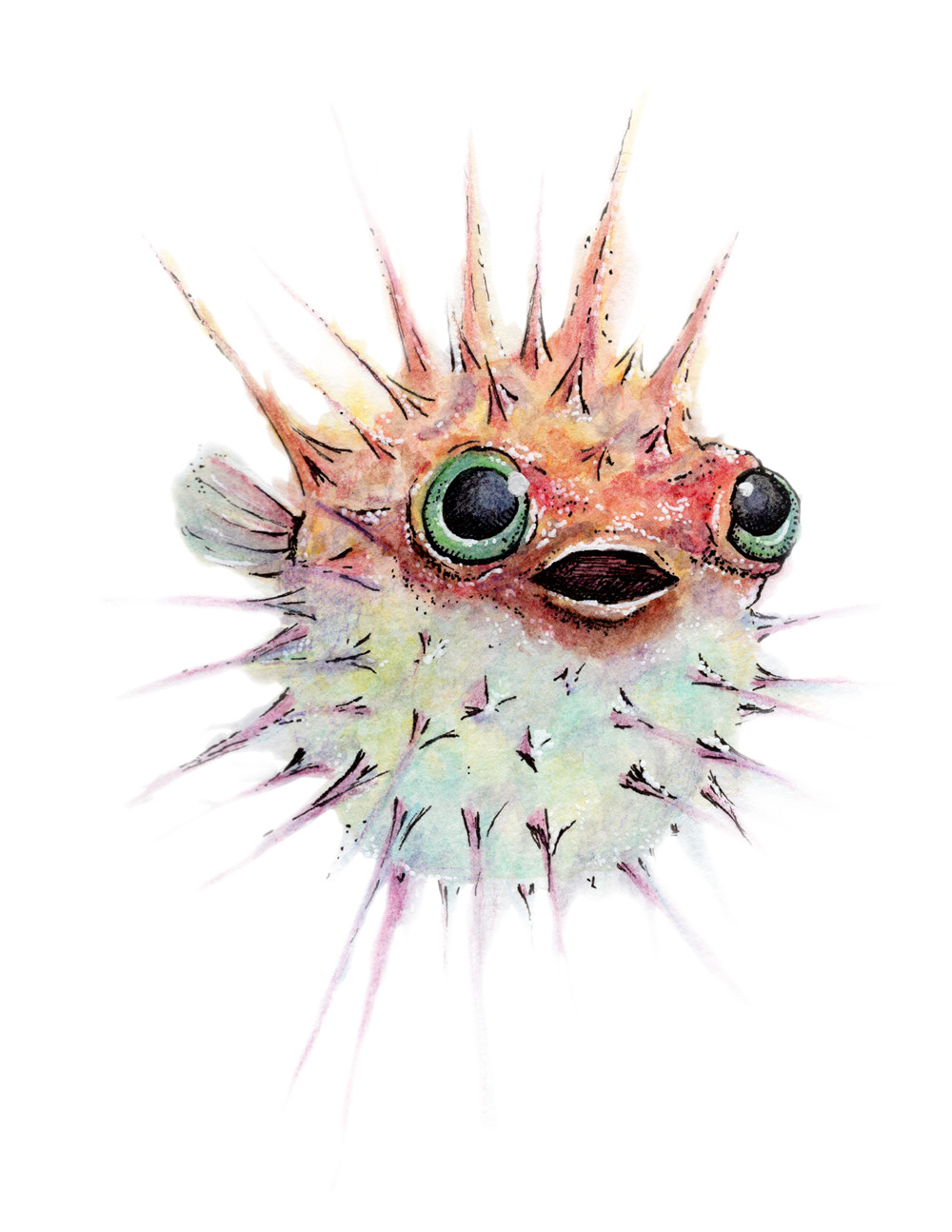 Stephanie Massie Watercolor Blowfish Stephanie Massie Watercolor Blowfish