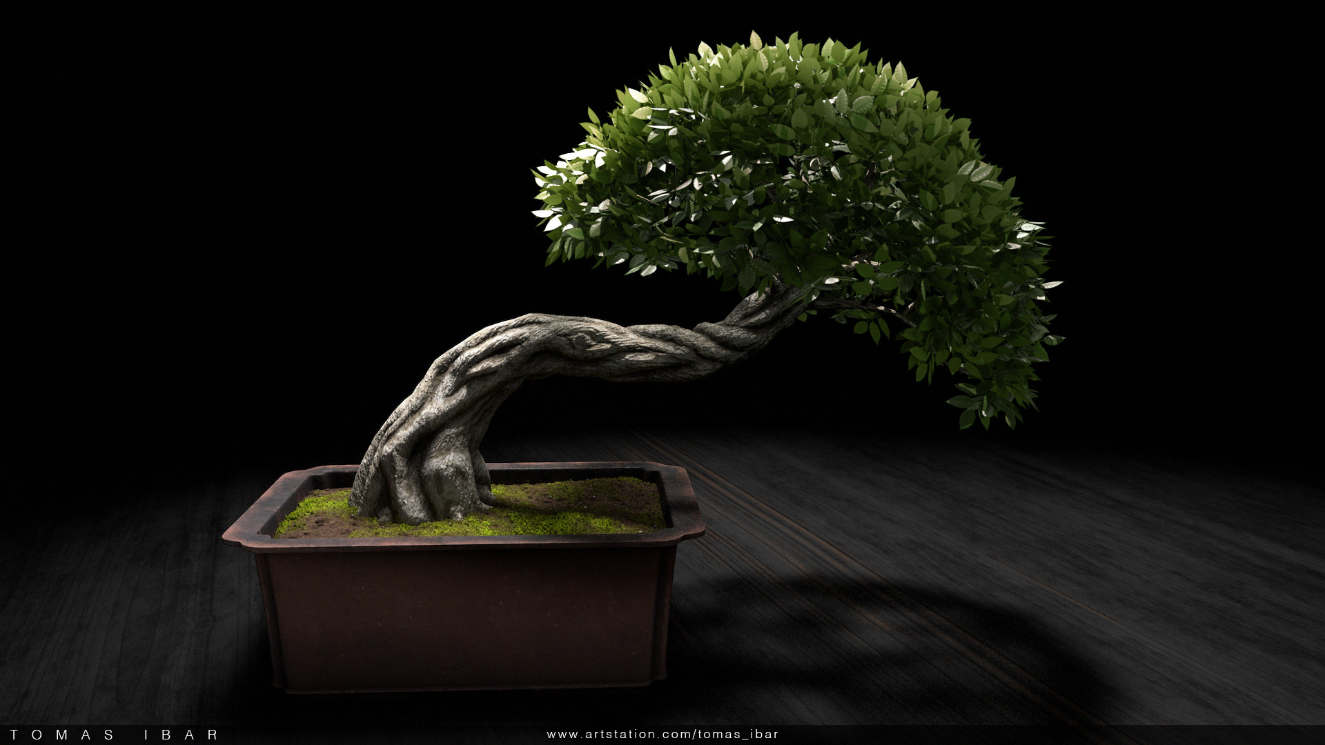 Artstation Bonsai Tree Tomas Ibar