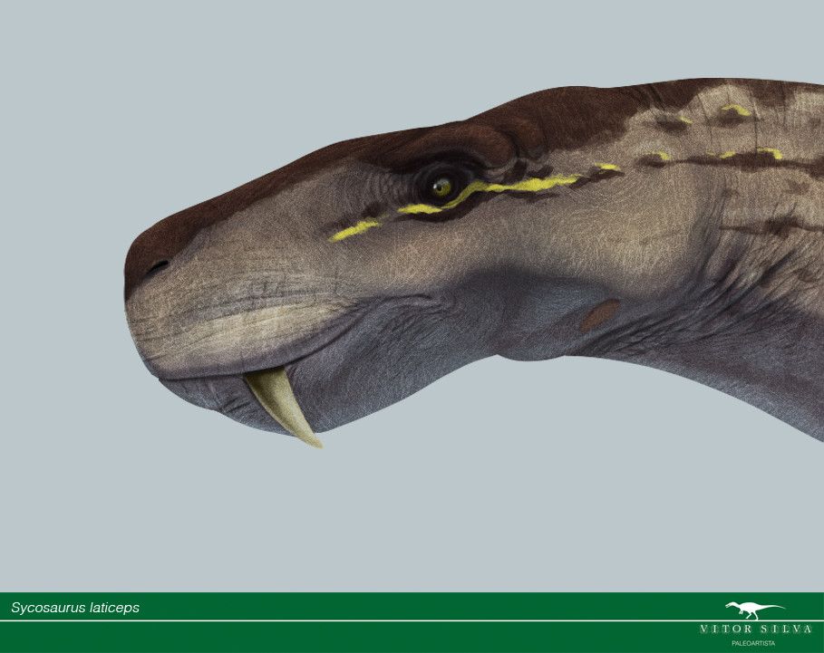 Sycosaurus