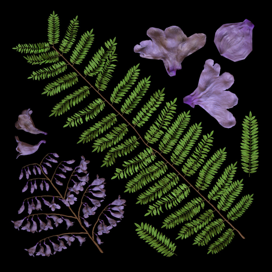 Leaf and flower textures, created in Zbrush