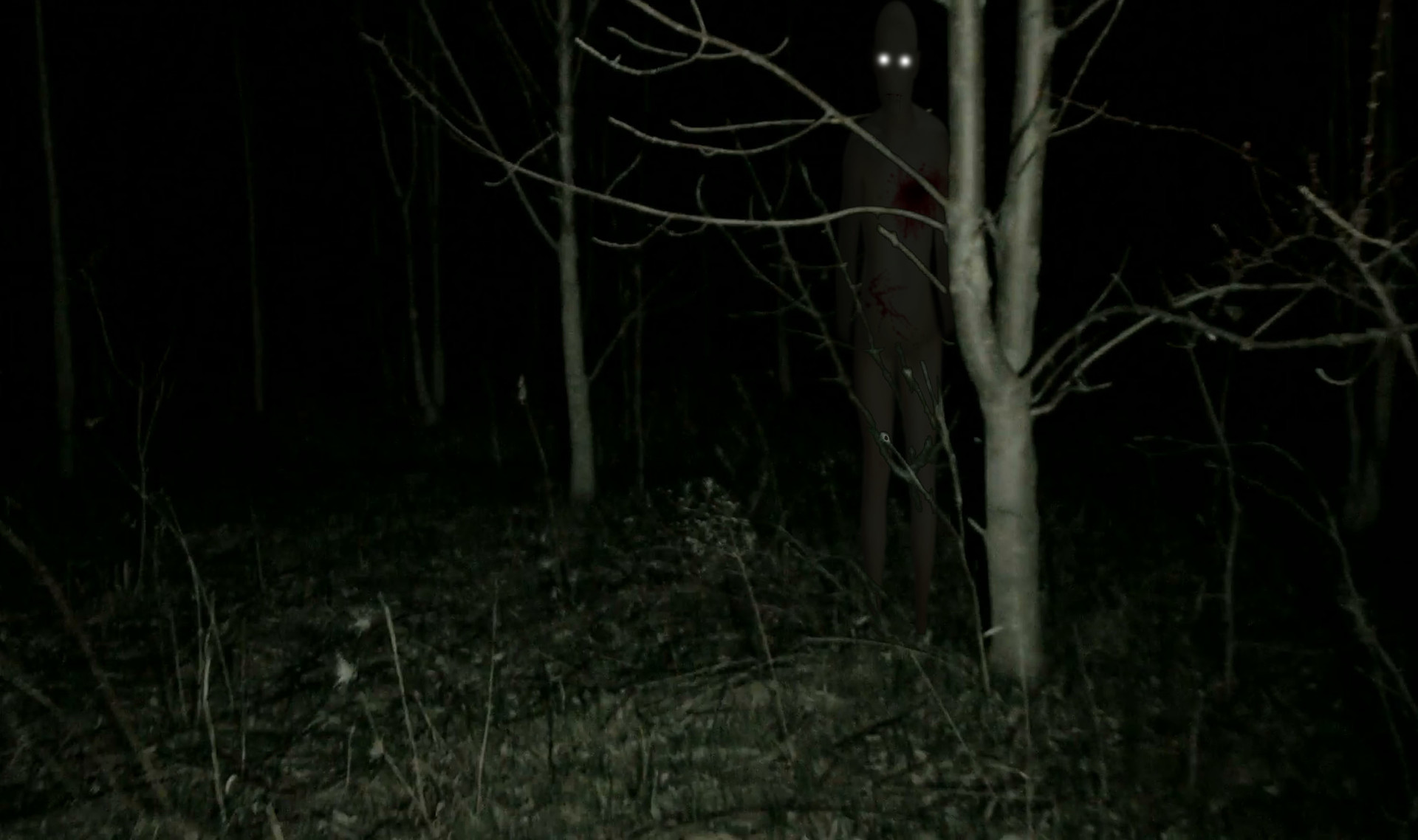 Куст пугающий людей. Страшный лес ночью настоящий. Страшный лес в темноте. Страшный монстр в темноте. Кусты в лесу ночью.