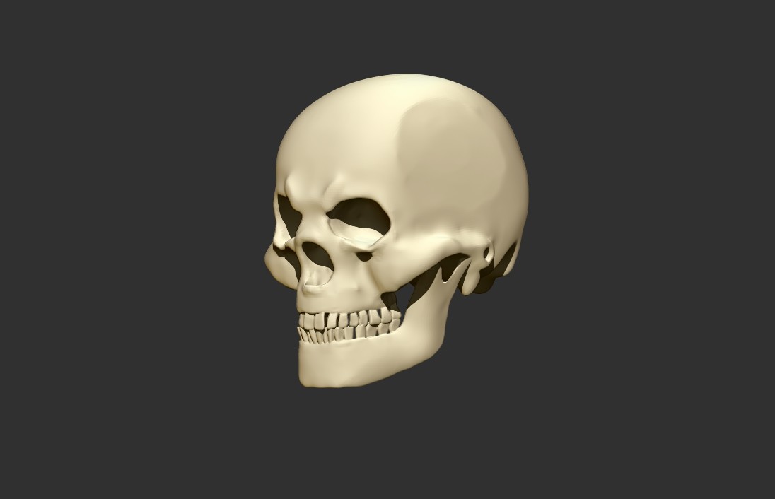 Artstation Human Skull Vignesh Vj K