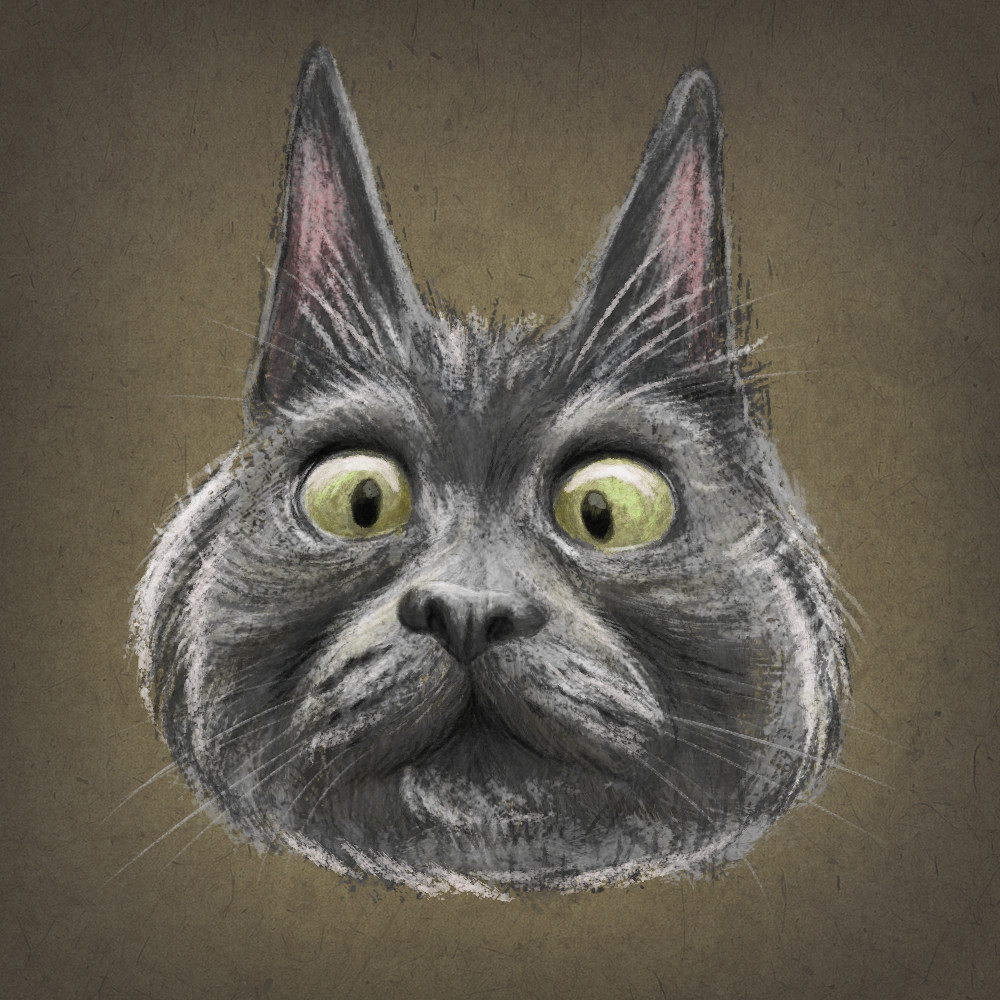 Digital Sketch based on Kev the Cat https://www.instagram.com/theadventuresofkev/