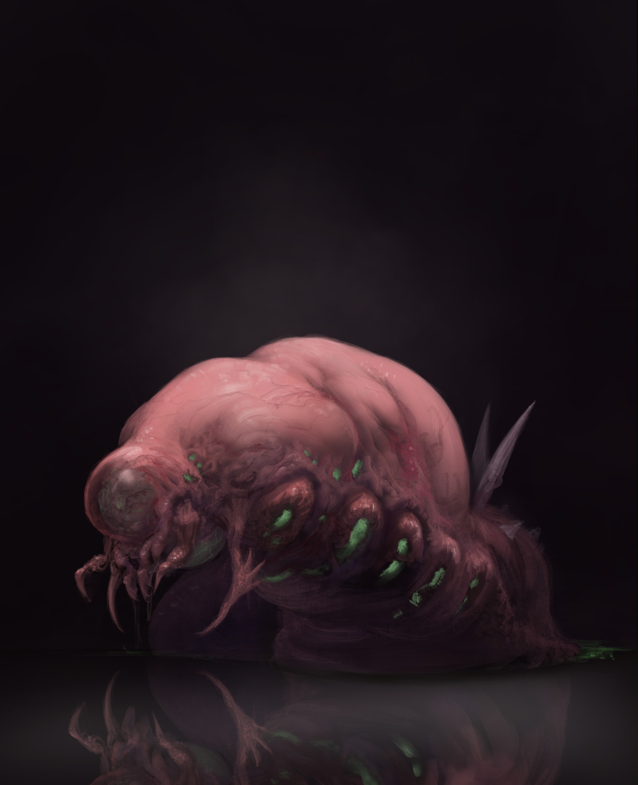 Evolutionary stage one, larva