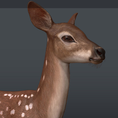 In game Deer